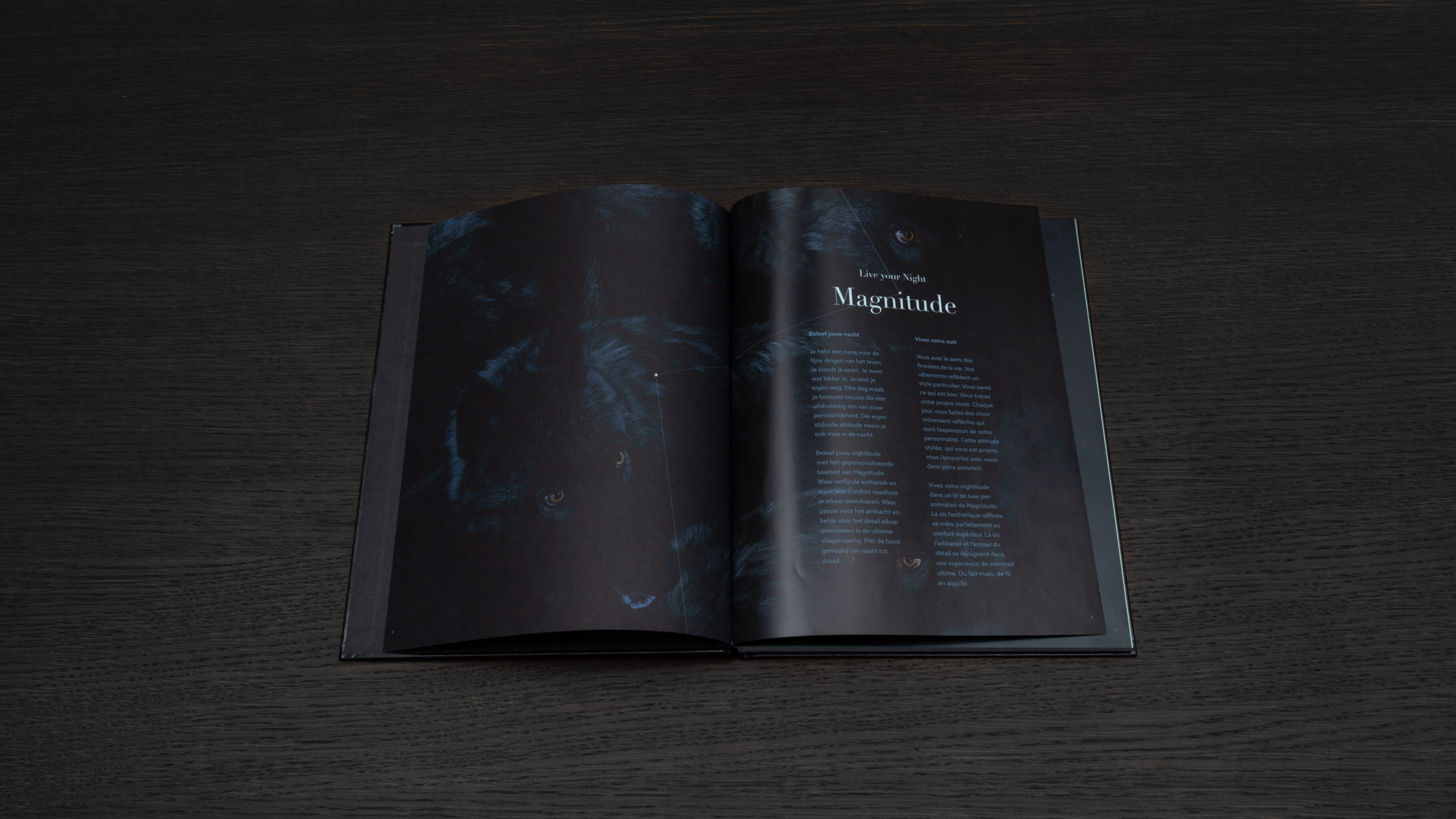 Magnitude editions by Vandekerckhove & Devos
